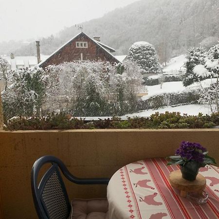 Appartement Vue Montagne Avec Wifi Saint-Lary-Soulan Buitenkant foto
