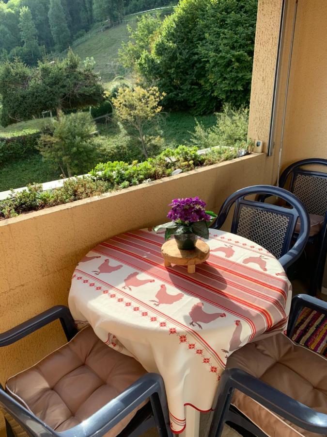 Appartement Vue Montagne Avec Wifi Saint-Lary-Soulan Buitenkant foto