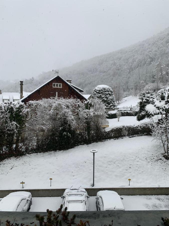 Appartement Vue Montagne Avec Wifi Saint-Lary-Soulan Buitenkant foto