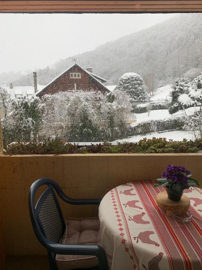 Appartement Vue Montagne Avec Wifi Saint-Lary-Soulan Buitenkant foto